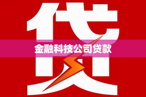 弋江金融科技公司贷款