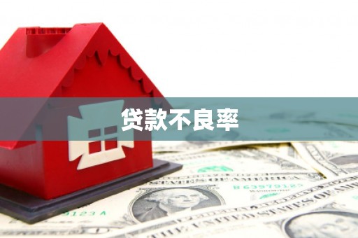 弋江贷款不良率