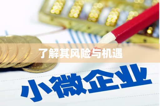 弋江了解其风险与机遇