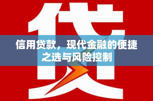 弋江信用贷款，现代金融的便捷之选与风险控制