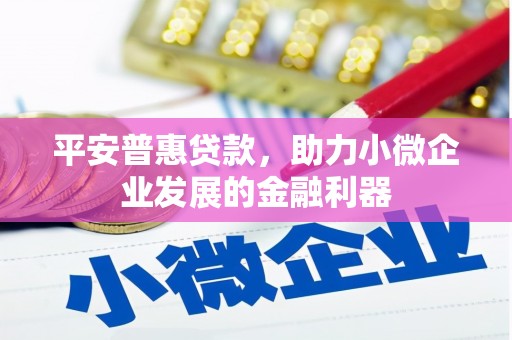 弋江平安普惠贷款，助力小微企业发展的金融利器