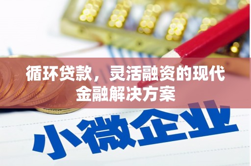 弋江循环贷款，灵活融资的现代金融解决方案