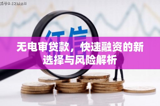 弋江无电审贷款，快速融资的新选择与风险解析