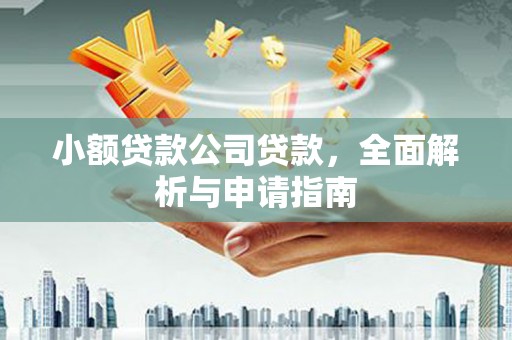 弋江小额贷款公司贷款，全面解析与申请指南
