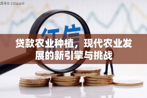 弋江贷款农业种植，现代农业发展的新引擎与挑战
