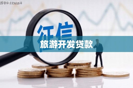弋江旅游开发贷款