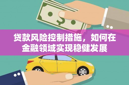 弋江贷款风险控制措施，如何在金融领域实现稳健发展