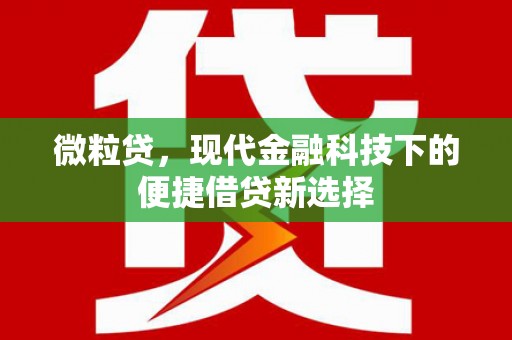 弋江微粒贷，现代金融科技下的便捷借贷新选择