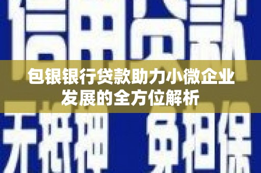 弋江包银银行贷款助力小微企业发展的全方位解析