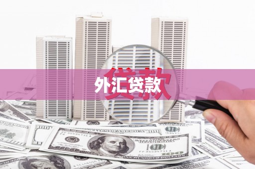 弋江外汇贷款