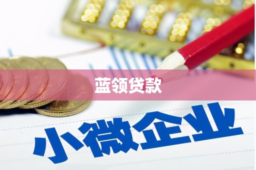 弋江蓝领贷款