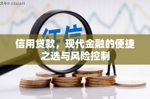 弋江信用贷款，现代金融的便捷之选与风险控制
