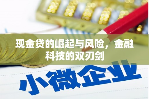 弋江现金贷的崛起与风险，金融科技的双刃剑