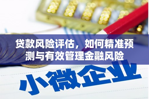 弋江贷款风险评估，如何精准预测与有效管理金融风险