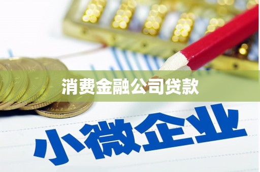 弋江消费金融公司贷款