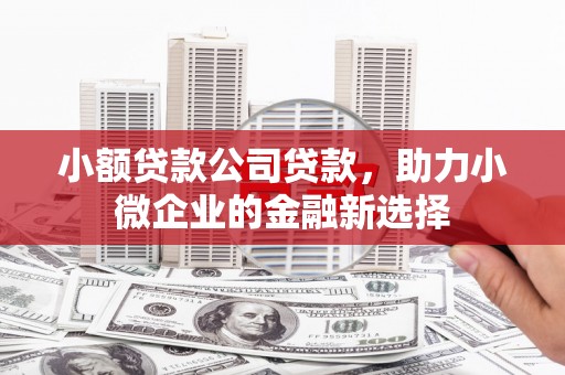 弋江小额贷款公司贷款，助力小微企业的金融新选择