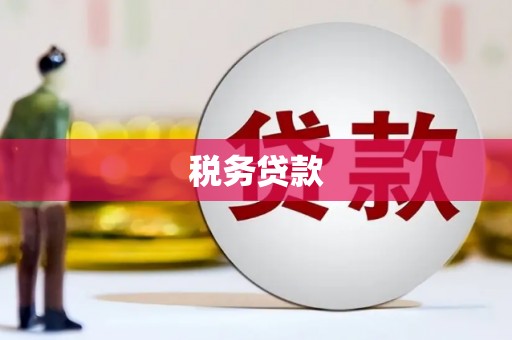 弋江税务贷款