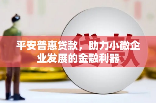弋江平安普惠贷款，助力小微企业发展的金融利器