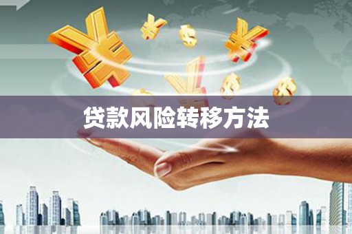 弋江贷款风险转移方法