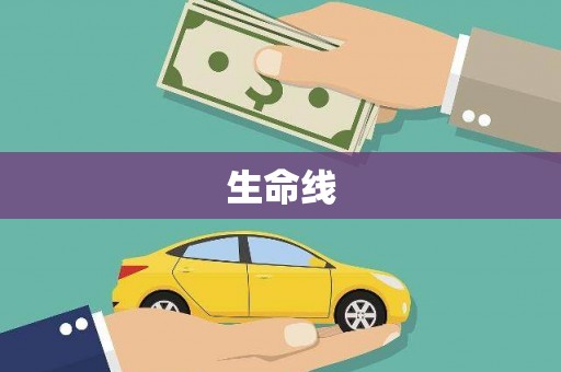 弋江生命线