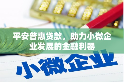 弋江平安普惠贷款，助力小微企业发展的金融利器