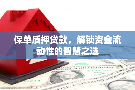 弋江保单质押贷款，解锁资金流动性的智慧之选