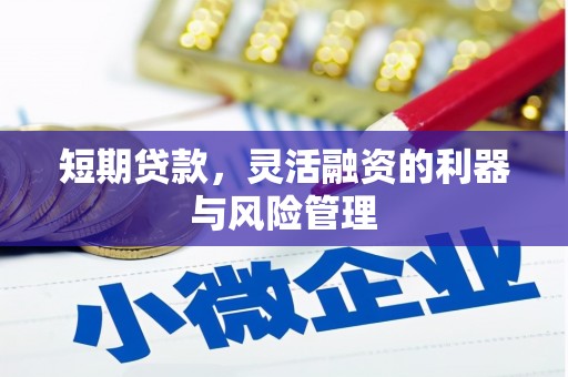 弋江短期贷款，灵活融资的利器与风险管理