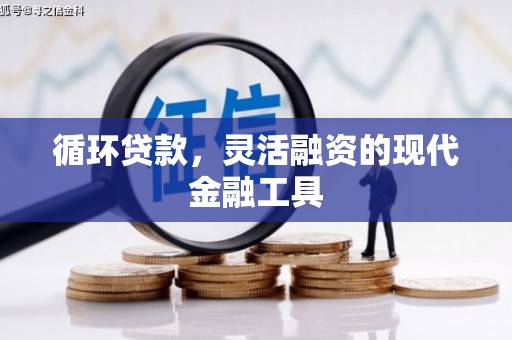弋江循环贷款，灵活融资的现代金融工具