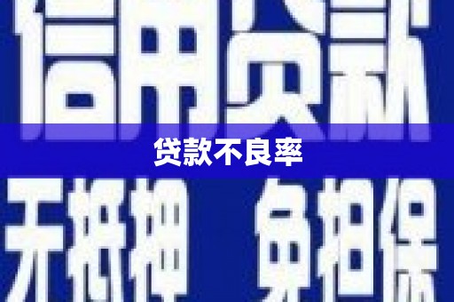 弋江贷款不良率