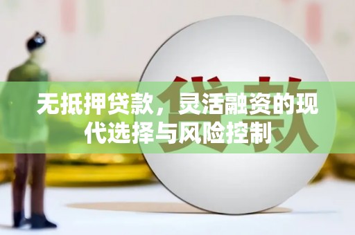 弋江无抵押贷款，灵活融资的现代选择与风险控制