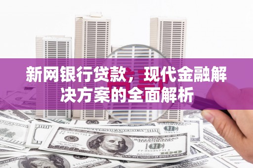 弋江新网银行贷款，现代金融解决方案的全面解析