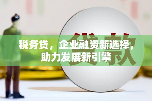 弋江税务贷，企业融资新选择，助力发展新引擎