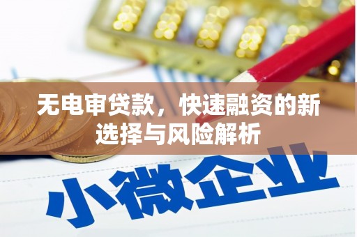 弋江无电审贷款，快速融资的新选择与风险解析
