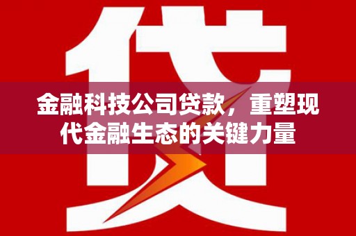 弋江金融科技公司贷款，重塑现代金融生态的关键力量