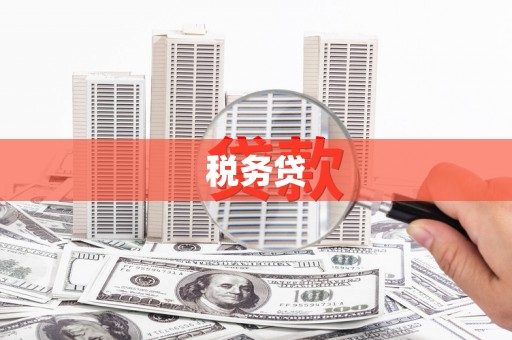 弋江税务贷
