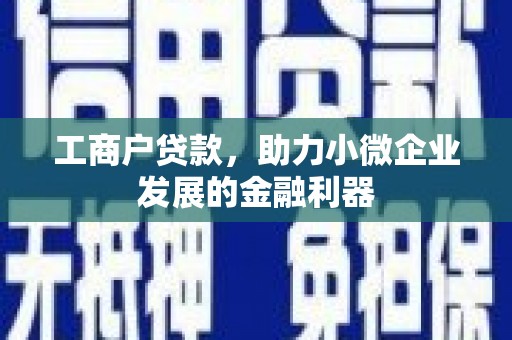 弋江工商户贷款，助力小微企业发展的金融利器