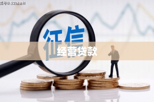 弋江经营贷款