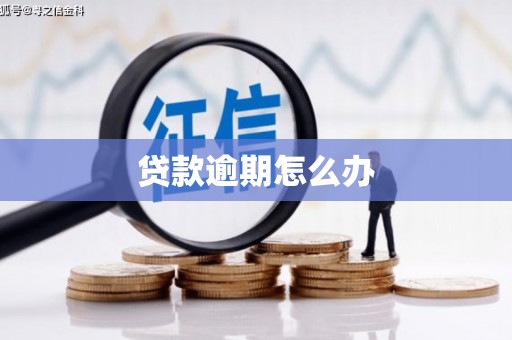 弋江贷款逾期怎么办