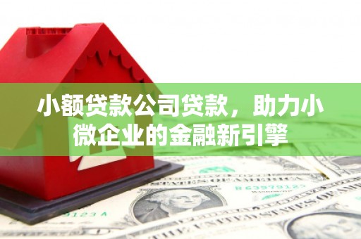 弋江小额贷款公司贷款，助力小微企业的金融新引擎