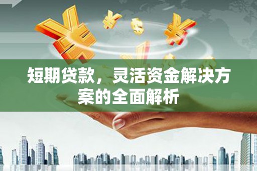 弋江短期贷款，灵活资金解决方案的全面解析