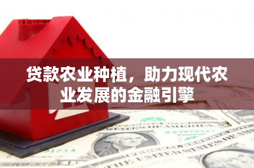 弋江贷款农业种植，助力现代农业发展的金融引擎