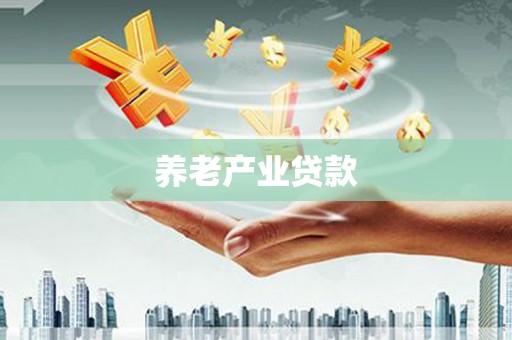 弋江养老产业贷款