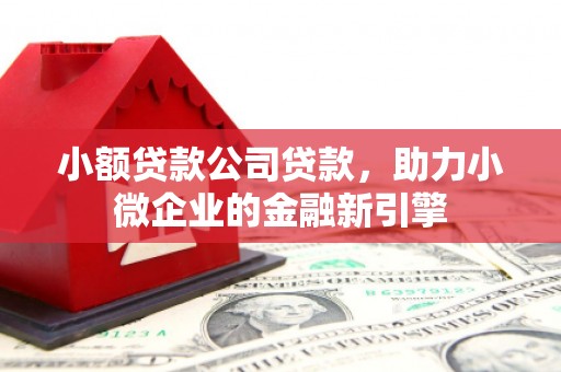 弋江小额贷款公司贷款，助力小微企业的金融新引擎
