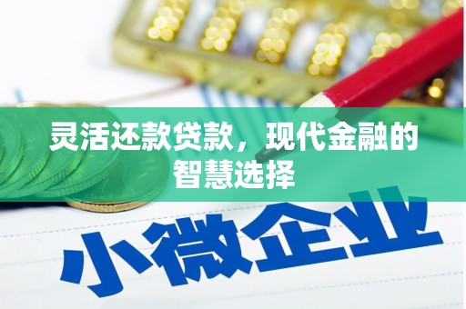 弋江灵活还款贷款，现代金融的智慧选择