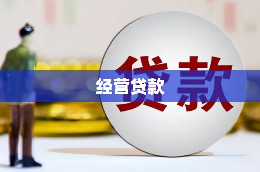 弋江经营贷款