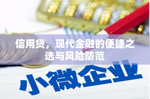 弋江信用贷，现代金融的便捷之选与风险防范