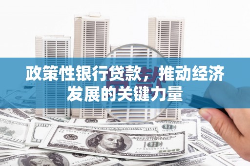 弋江政策性银行贷款，推动经济发展的关键力量