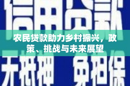弋江农民贷款助力乡村振兴，政策、挑战与未来展望