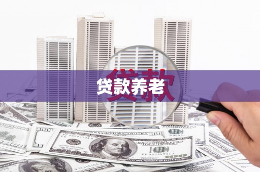 弋江贷款养老