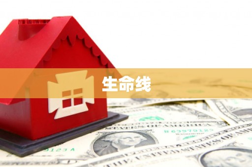弋江生命线